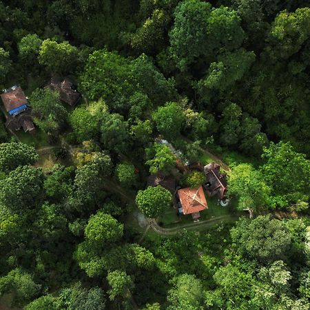 Mahout Resort Wayanad - An Experiential Jungle Stay With Waterfall Kalpetta Exteriör bild