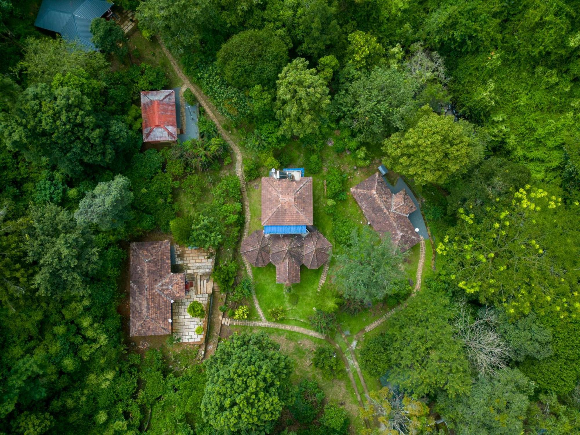Mahout Resort Wayanad - An Experiential Jungle Stay With Waterfall Kalpetta Exteriör bild