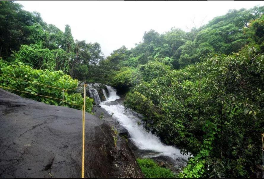 Mahout Resort Wayanad - An Experiential Jungle Stay With Waterfall Kalpetta Exteriör bild