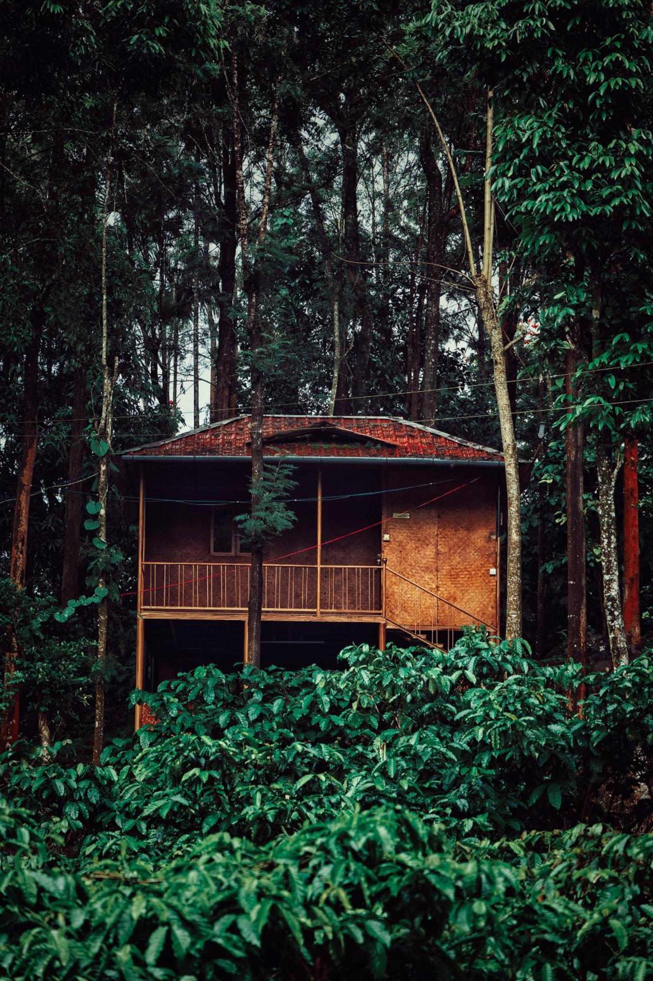 Mahout Resort Wayanad - An Experiential Jungle Stay With Waterfall Kalpetta Exteriör bild