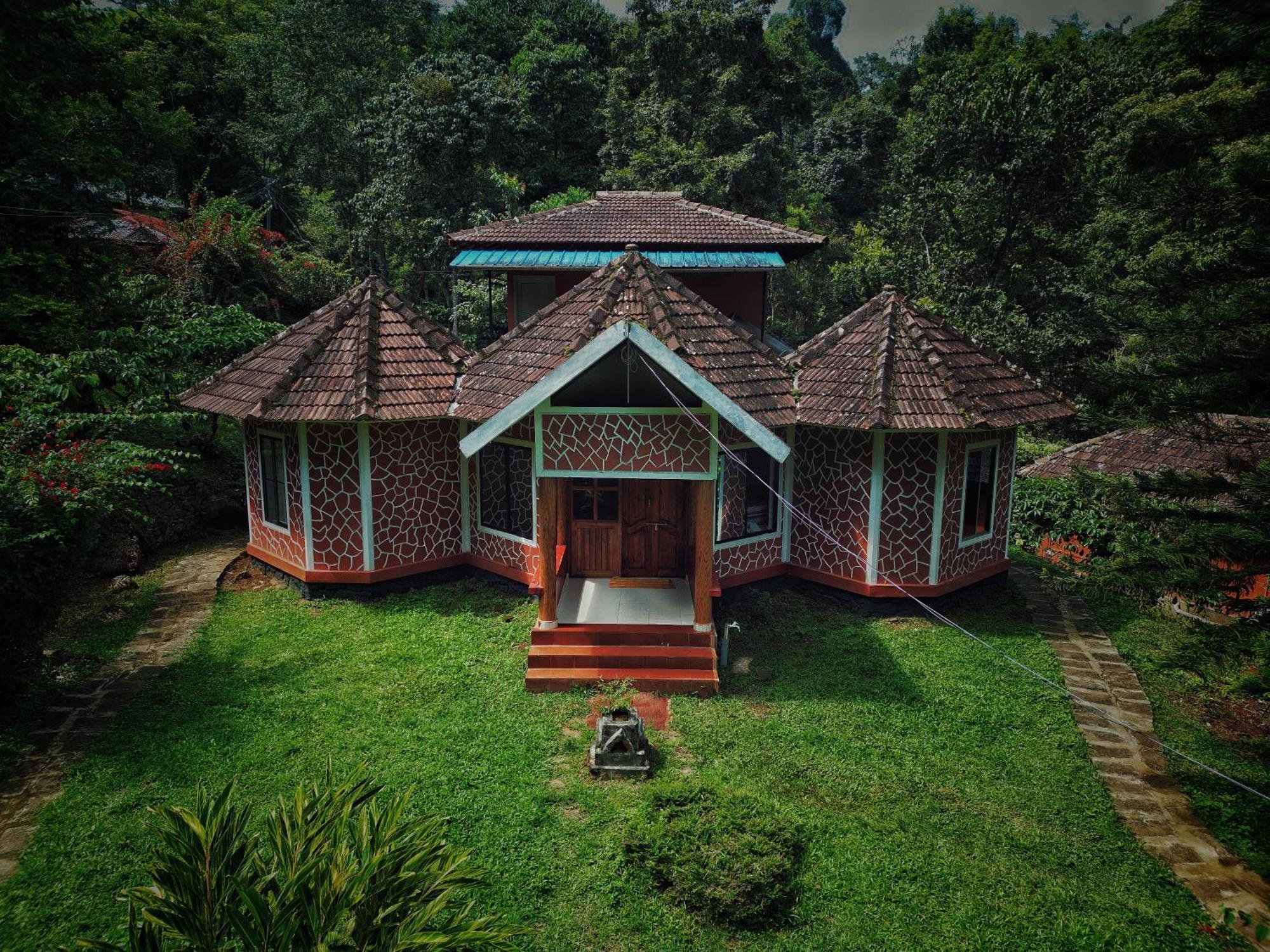 Mahout Resort Wayanad - An Experiential Jungle Stay With Waterfall Kalpetta Exteriör bild