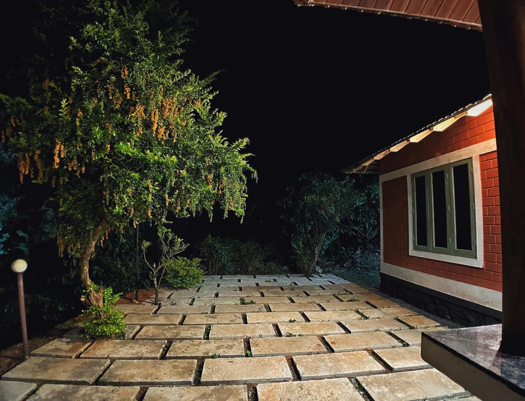 Mahout Resort Wayanad - An Experiential Jungle Stay With Waterfall Kalpetta Exteriör bild