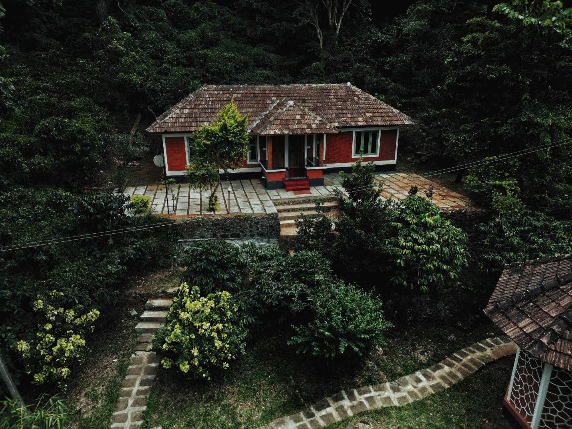 Mahout Resort Wayanad - An Experiential Jungle Stay With Waterfall Kalpetta Exteriör bild