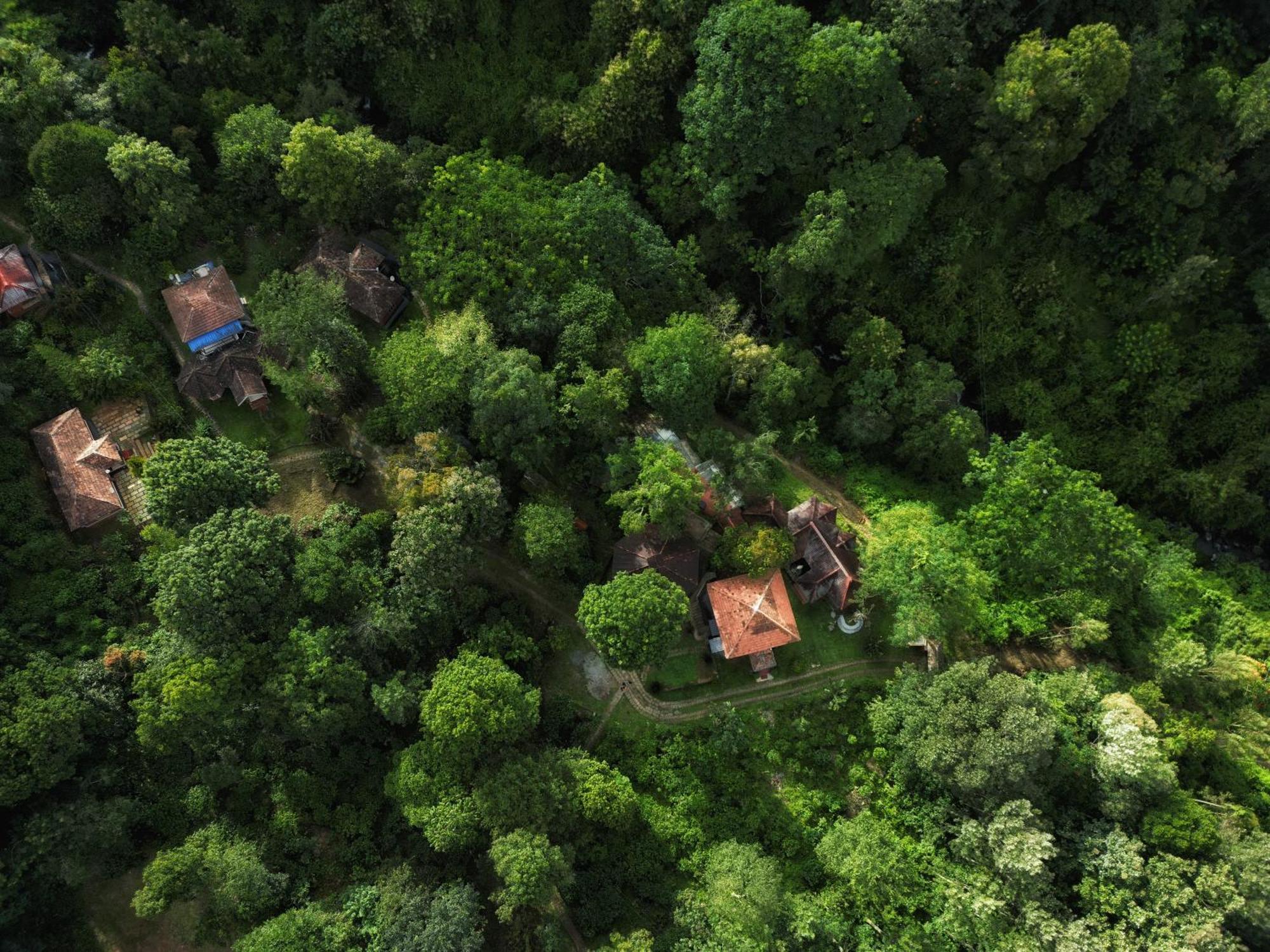 Mahout Resort Wayanad - An Experiential Jungle Stay With Waterfall Kalpetta Exteriör bild