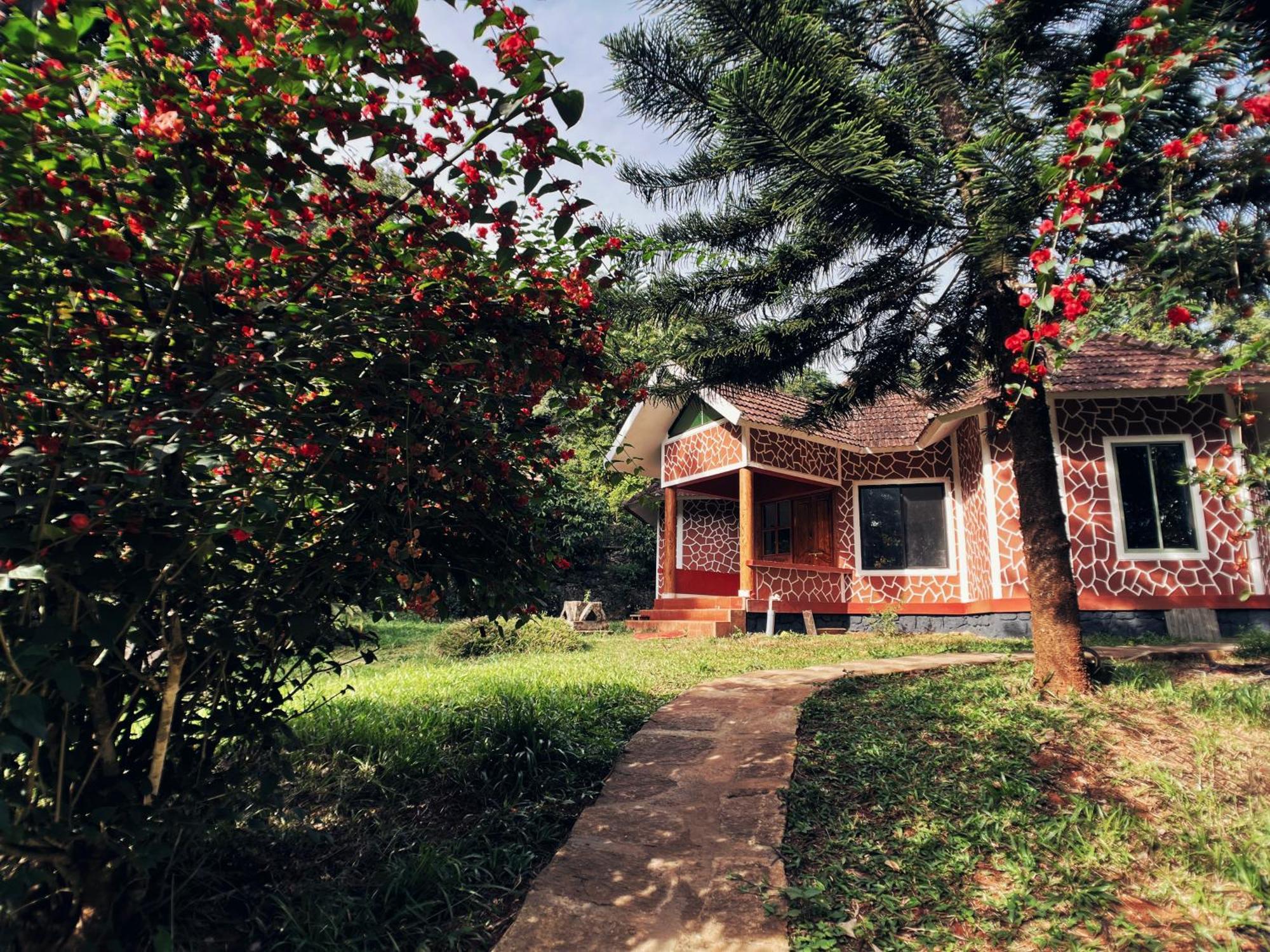 Mahout Resort Wayanad - An Experiential Jungle Stay With Waterfall Kalpetta Exteriör bild