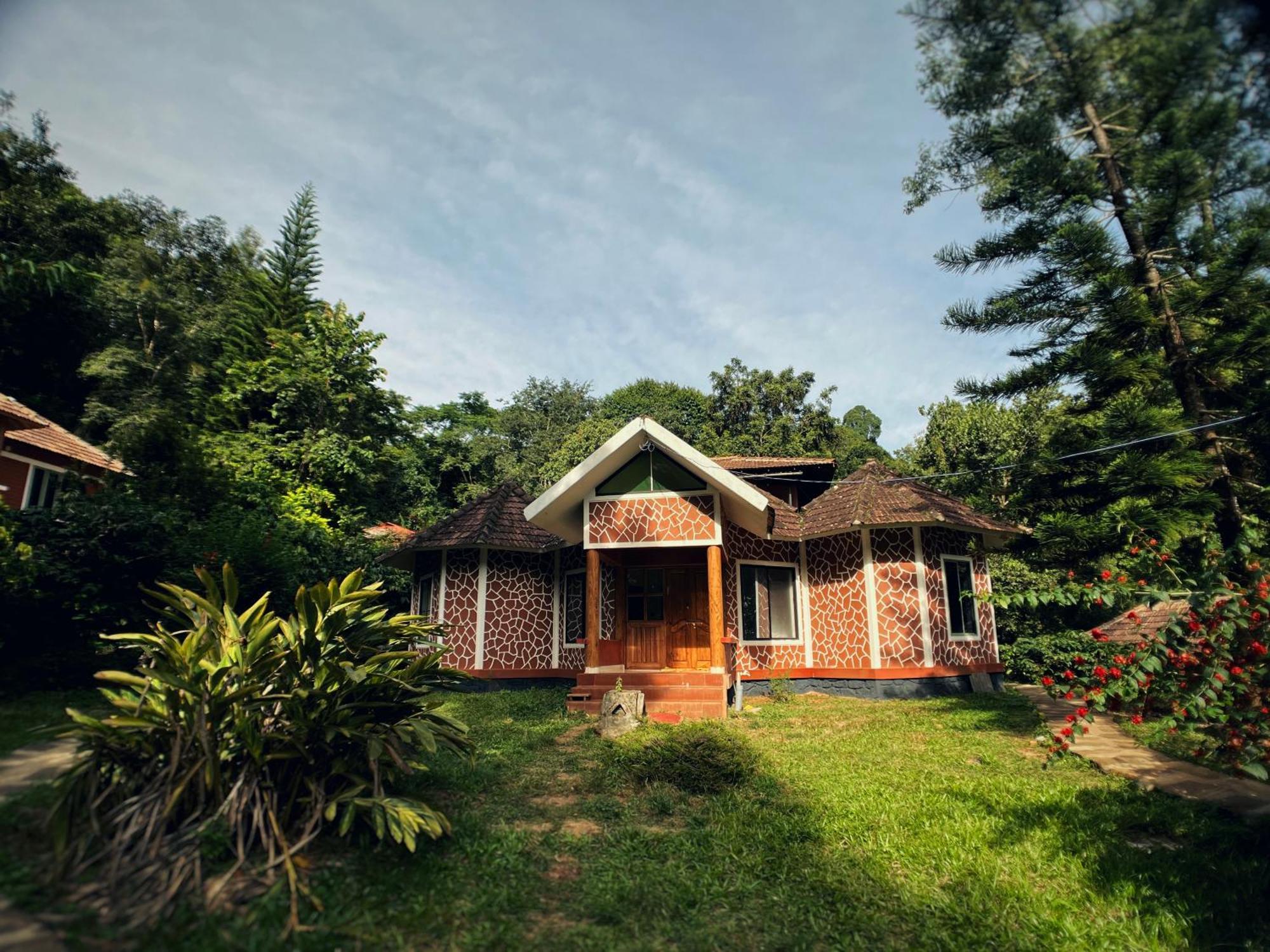 Mahout Resort Wayanad - An Experiential Jungle Stay With Waterfall Kalpetta Exteriör bild