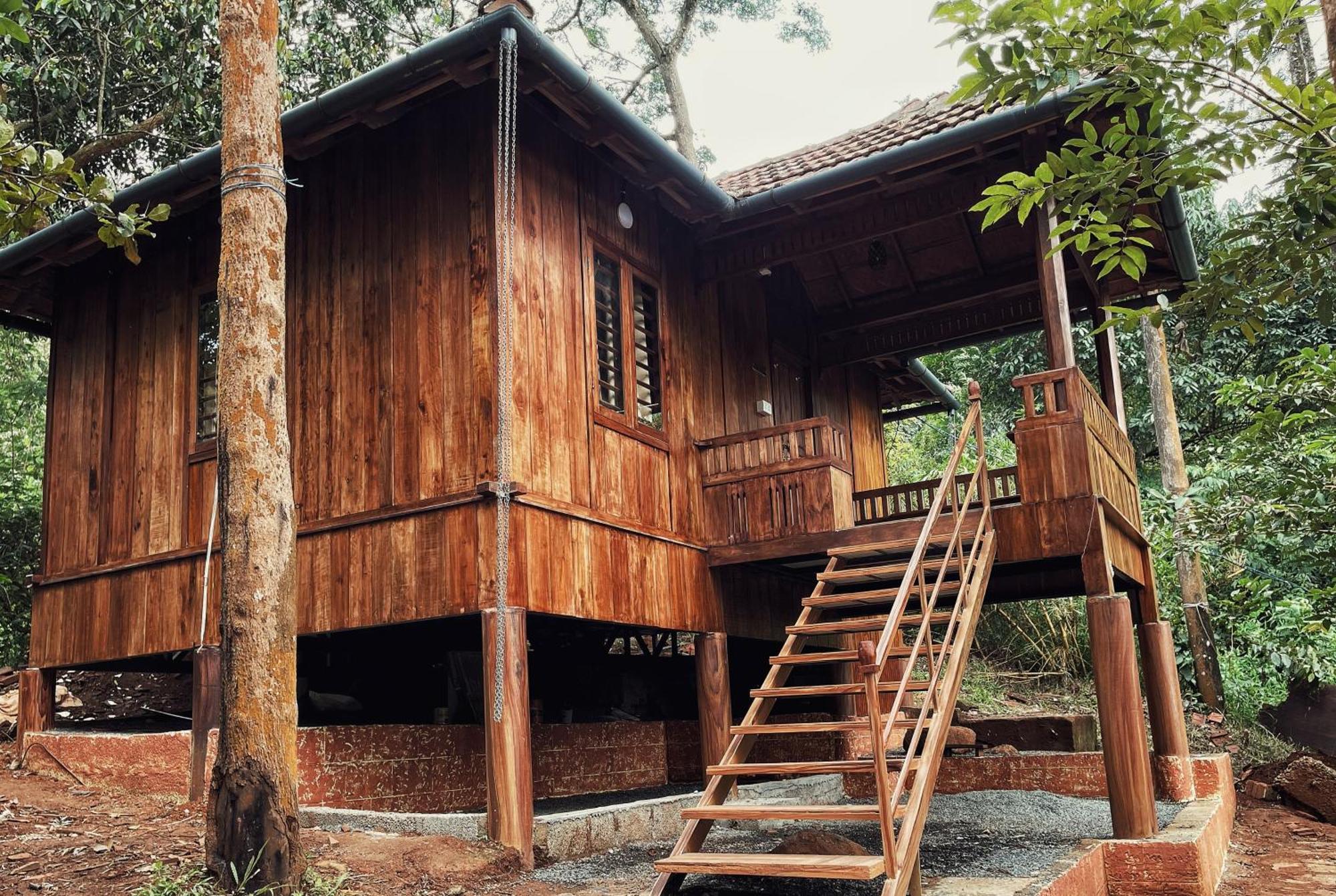 Mahout Resort Wayanad - An Experiential Jungle Stay With Waterfall Kalpetta Exteriör bild