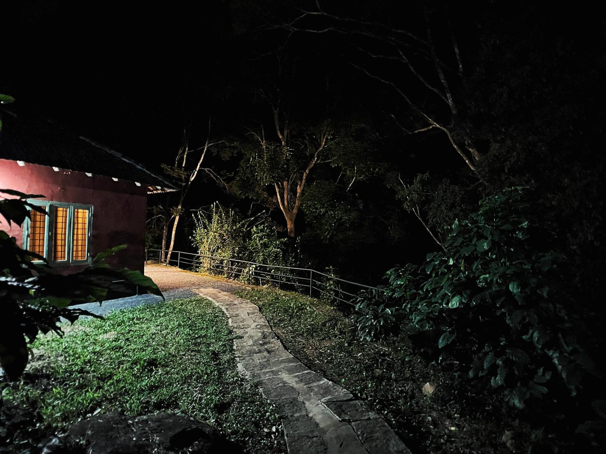 Mahout Resort Wayanad - An Experiential Jungle Stay With Waterfall Kalpetta Exteriör bild