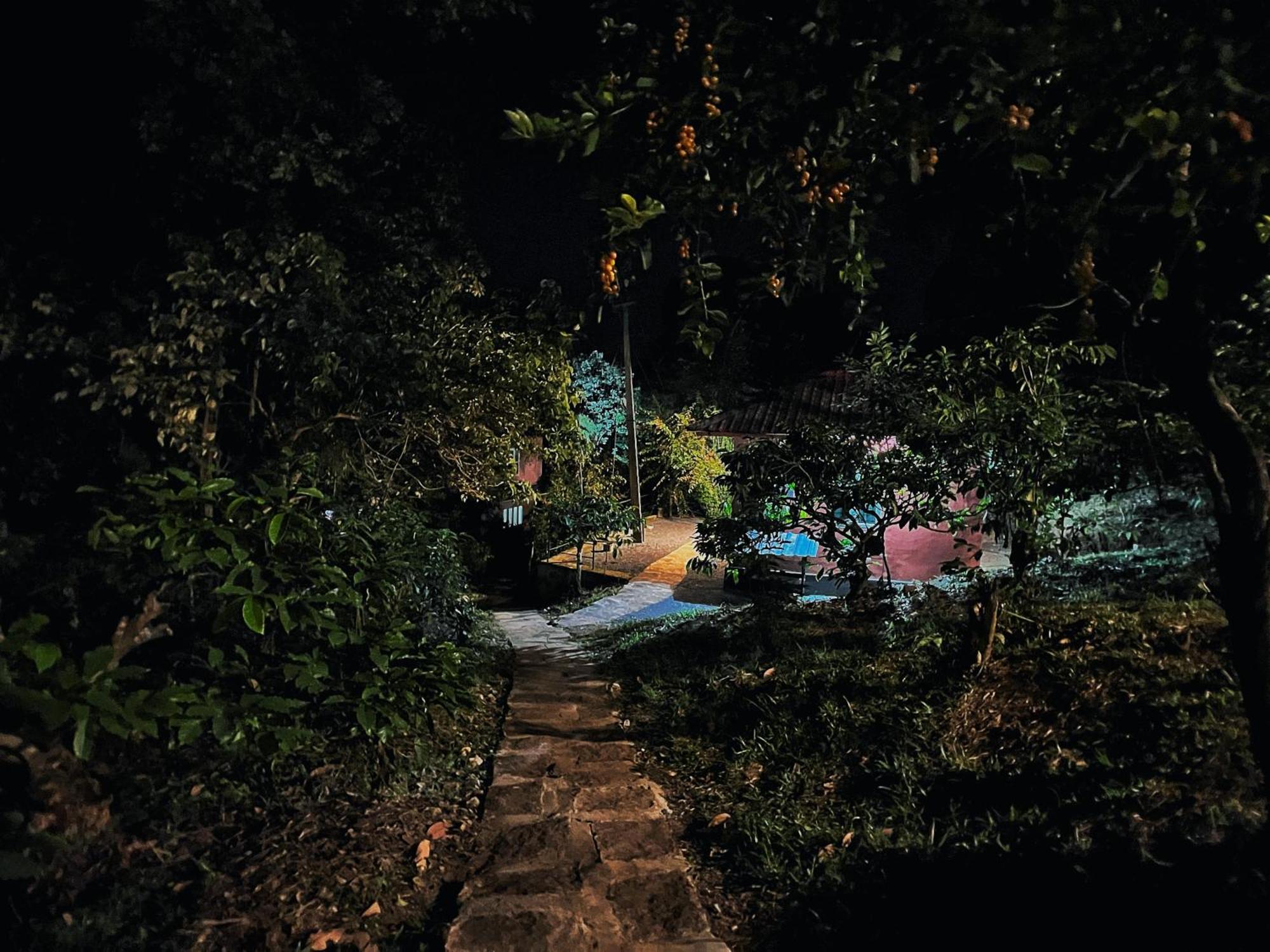 Mahout Resort Wayanad - An Experiential Jungle Stay With Waterfall Kalpetta Exteriör bild