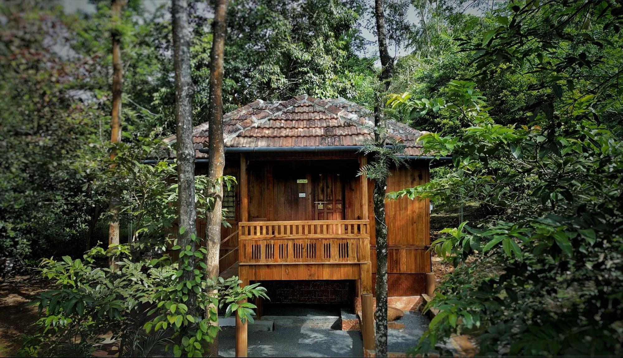 Mahout Resort Wayanad - An Experiential Jungle Stay With Waterfall Kalpetta Exteriör bild